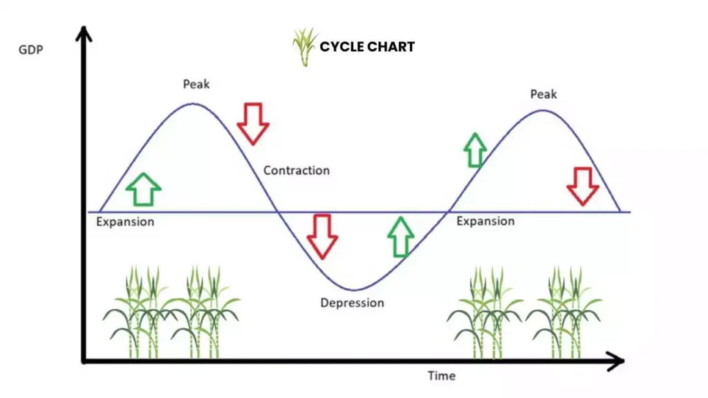 investing cycle of sugarcane industry stocks