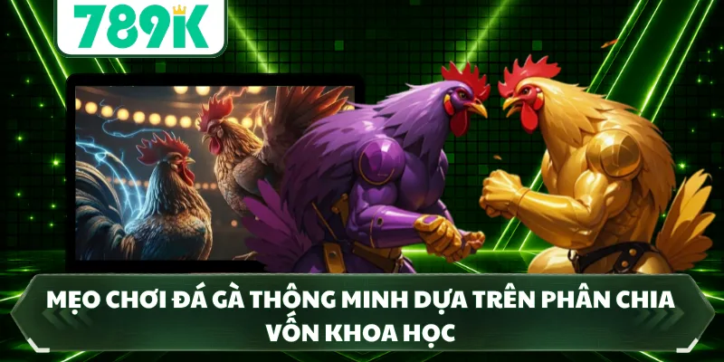 Mẹo chơi đá gà thông minh dựa trên phân chia vốn khoa học 